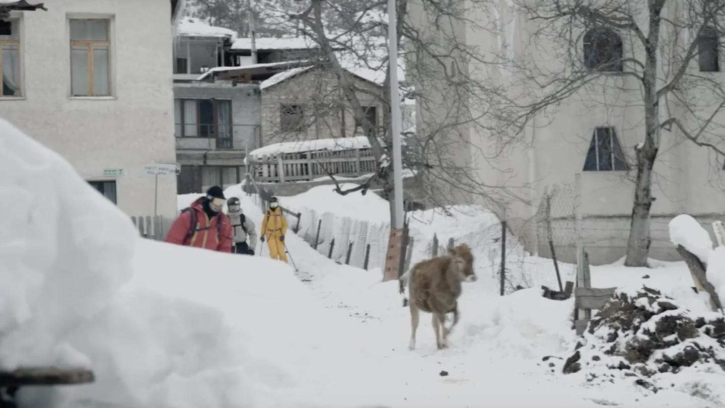 Svaneti still three skiers and a cow running in front of them in a snowy village